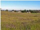 Orange NSW 2800