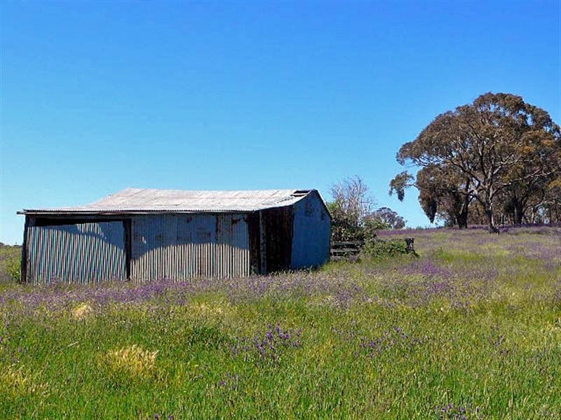 Orange NSW 2800
