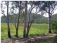 Upper Colo NSW 2756