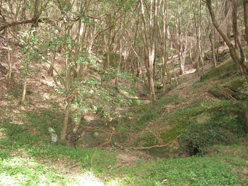 Upper Colo NSW 2756