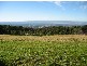 Kurrajong Heights NSW 2758