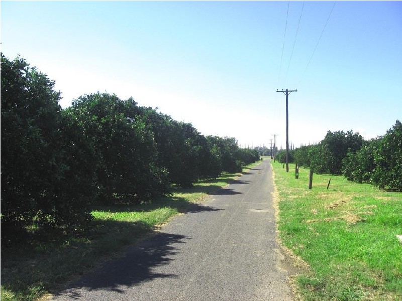 93 Bathurst Street, Pitt Town NSW 2756