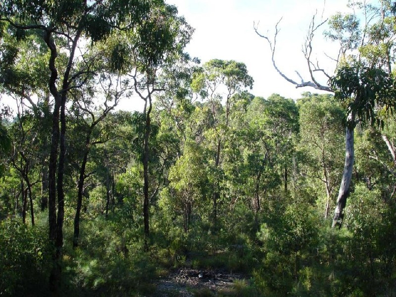 South Maroota NSW 2756