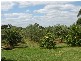 Maroota NSW 2756