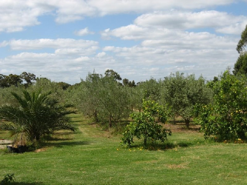 Maroota NSW 2756