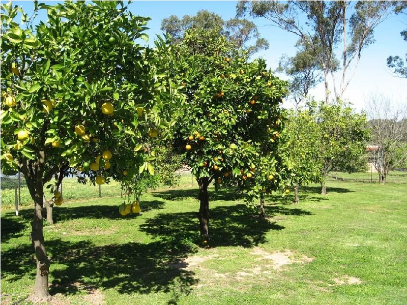 South Maroota NSW 2756