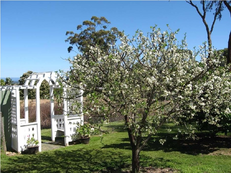 South Maroota NSW 2756