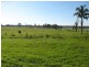Wilberforce NSW 2756