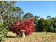 Sackville North NSW 2756