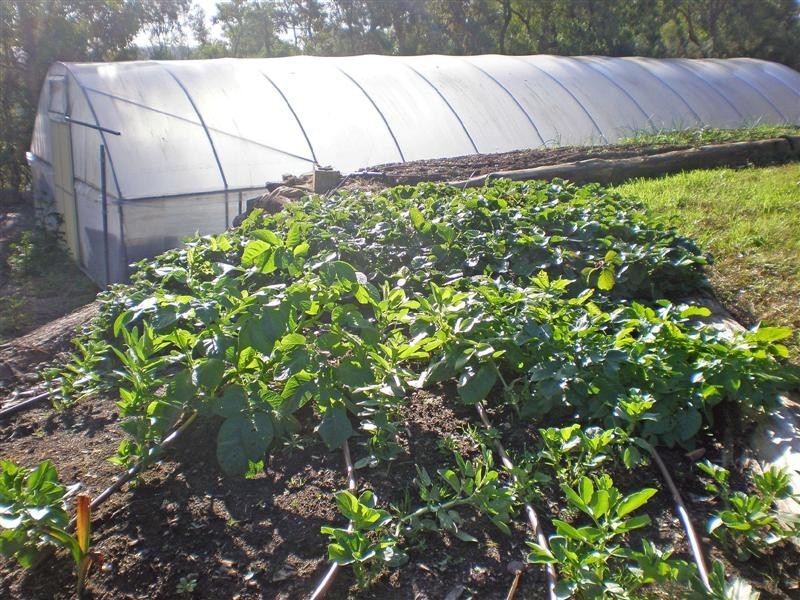 Lower Portland NSW 2756