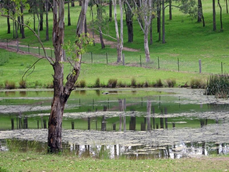 29 Threlkeld Drive, Cattai NSW 2756