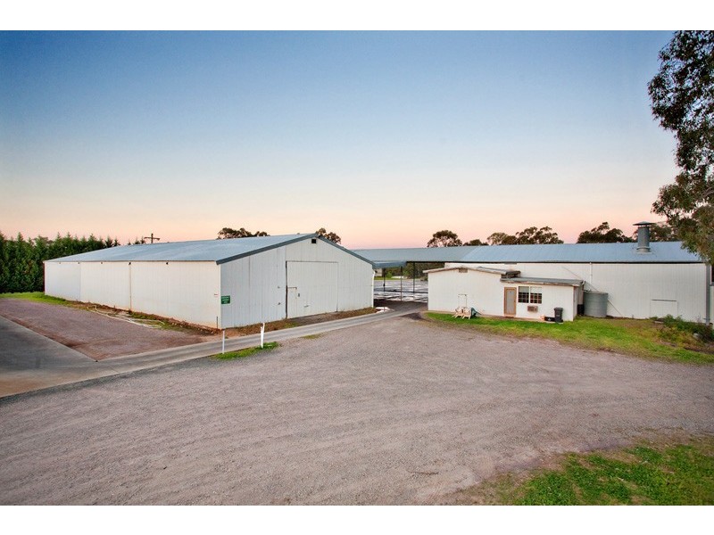 Cattai NSW 2756