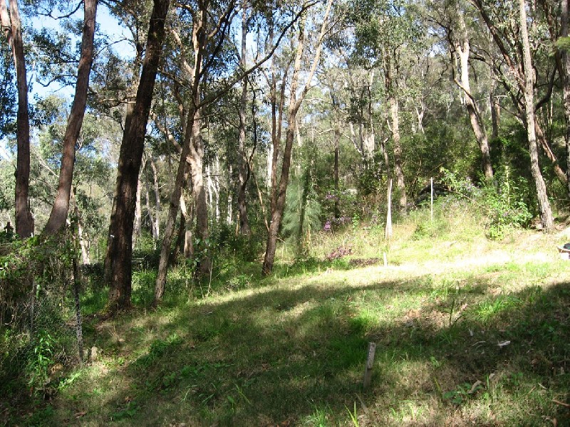 Wisemans Ferry NSW 2775