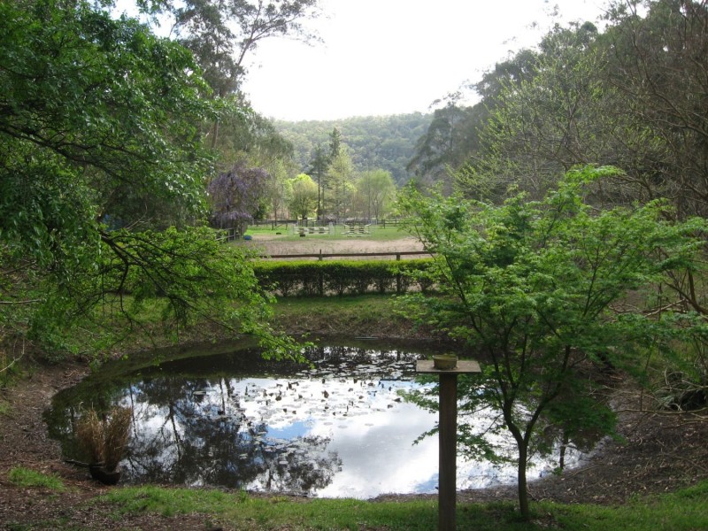 Lower Portland NSW 2756