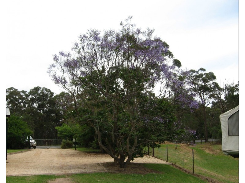 South Maroota NSW 2756