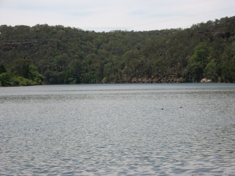 Sackville North NSW 2756