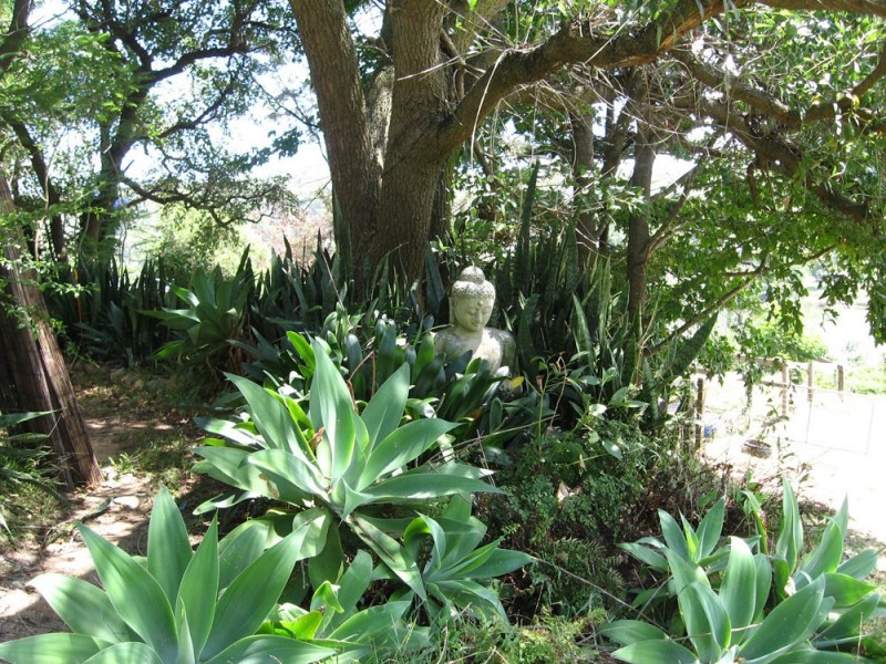 Sackville North NSW 2756