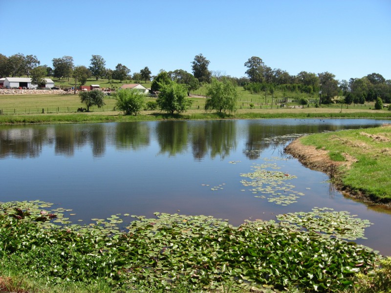 Freemans Reach NSW 2756