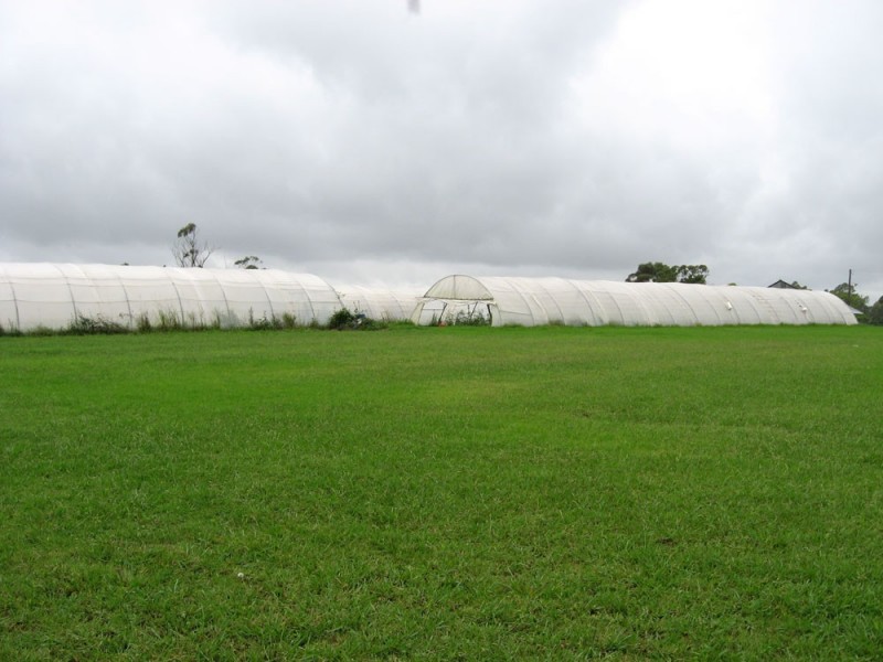 Wisemans Ferry NSW 2775