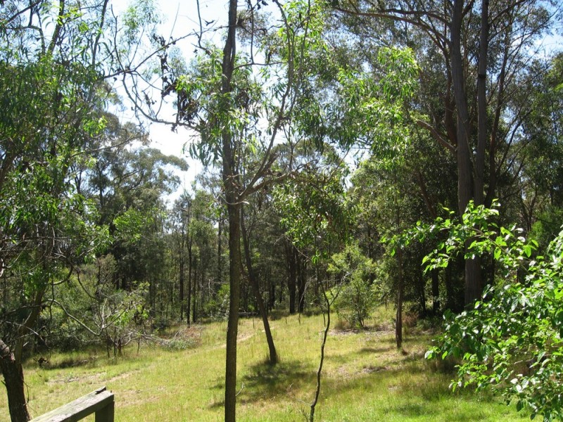 Colo Heights NSW 2756