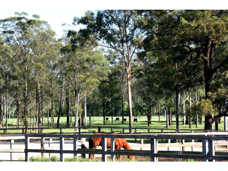 Freemans Reach NSW 2756