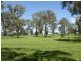 Grose Wold NSW 2753