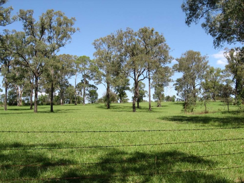 Grose Wold NSW 2753