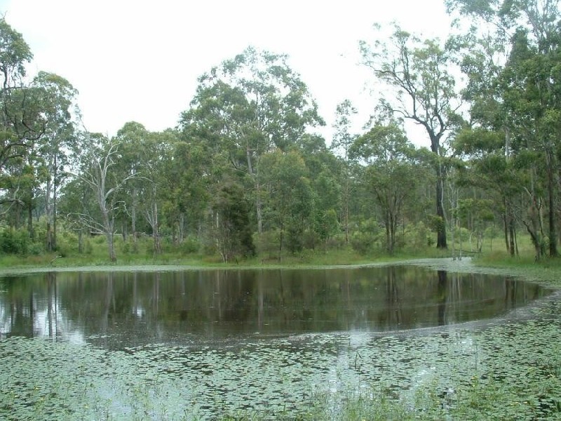Bishops Bridge NSW 2326