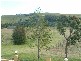 Luskintyre NSW 2321
