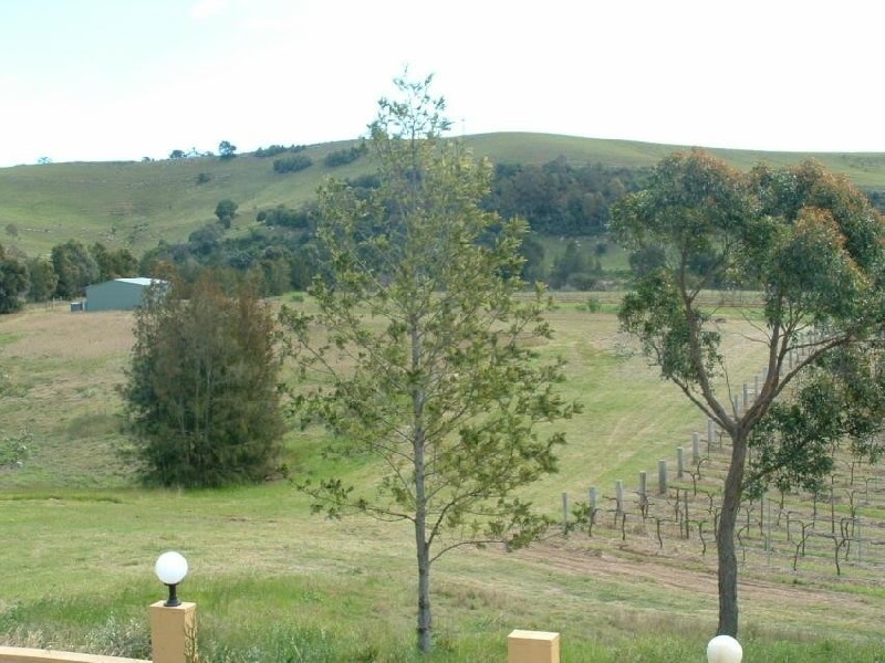 Luskintyre NSW 2321