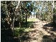 Sawyers Gully NSW 2326