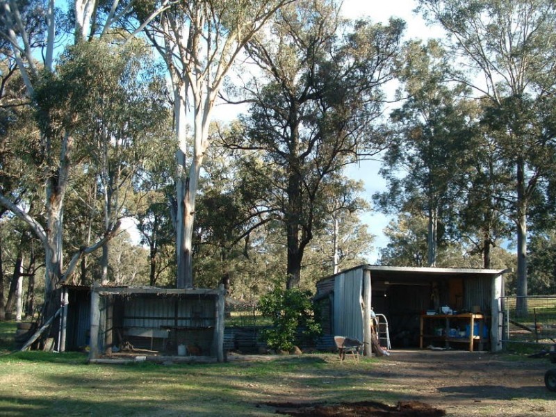 Branxton NSW 2335