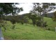 Luskintyre NSW 2321
