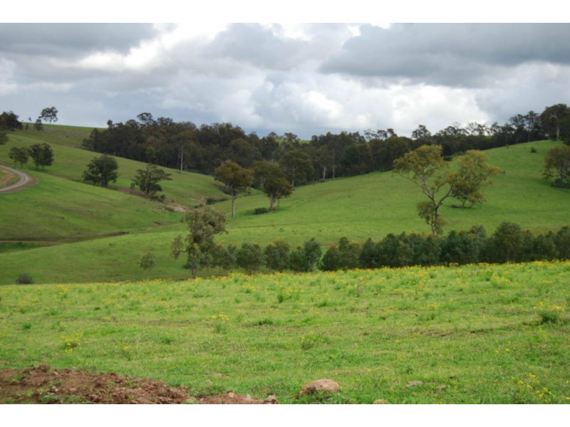 Luskintyre NSW 2321