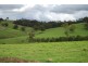Luskintyre NSW 2321