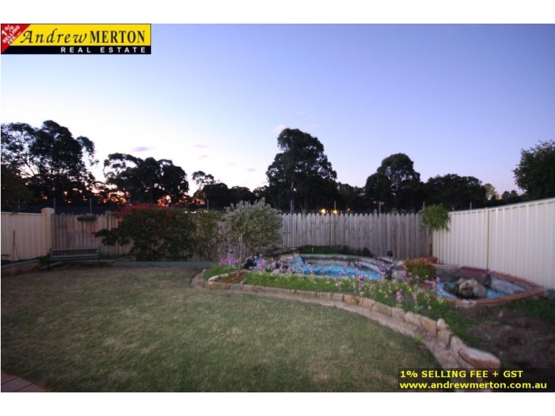 45 Tangerine Drive, Quakers Hill NSW 2763