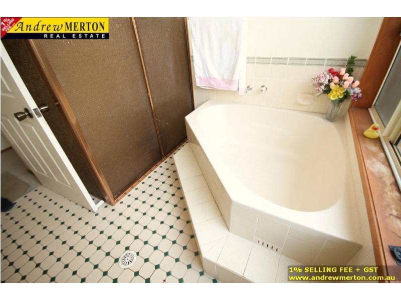 11 Stockade Place, Woodcroft NSW 2767