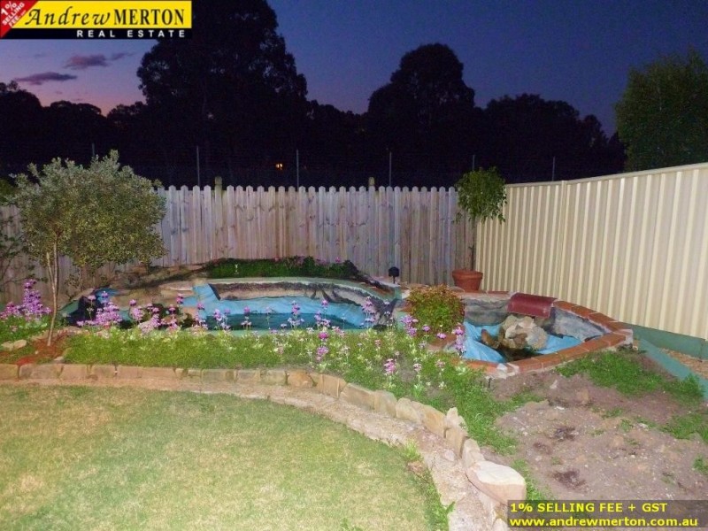 45 Tangerine Drive, Quakers Hill NSW 2763