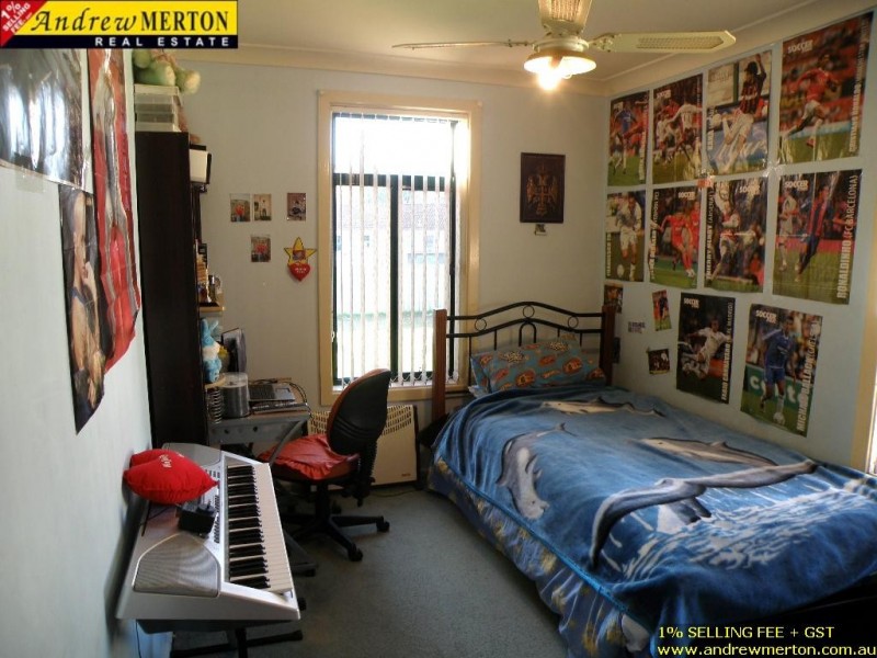 10 Idriess Cr, Blackett NSW 2770