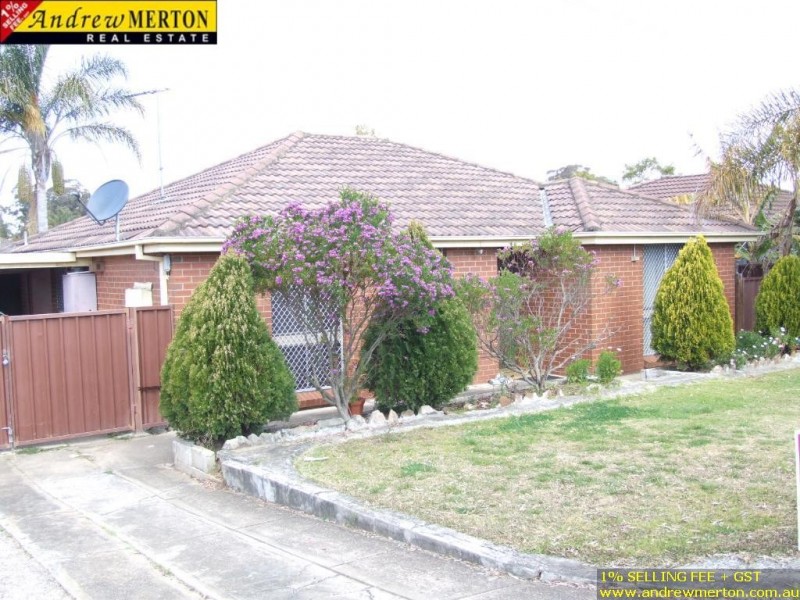 8 Clem Pl, Shalvey NSW 2770