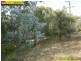 Lot 12 Cadwells Road, Kenthurst NSW 2156