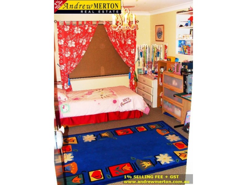 17 Scarlet Street, Quakers Hill NSW 2763