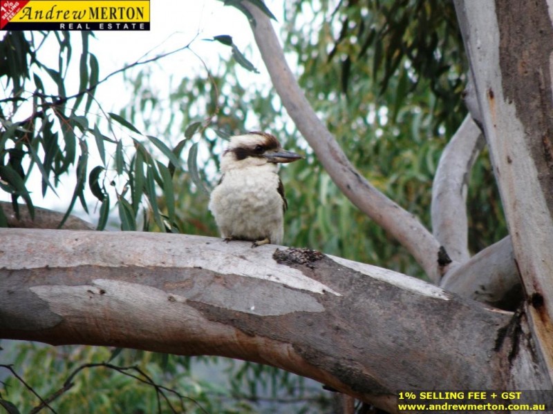 1573 River Road, Lower Portland NSW 2756