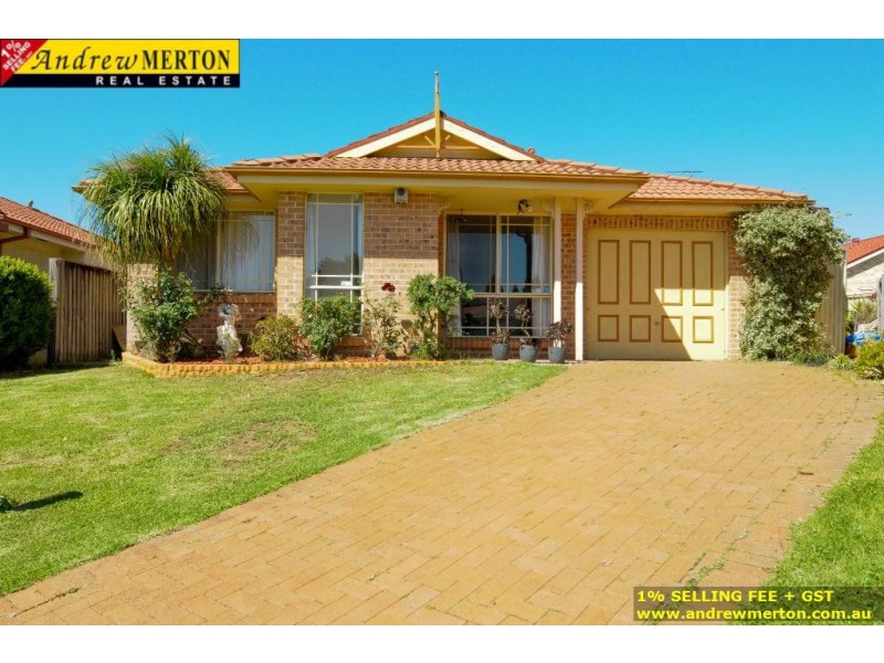 13 Morgan Place, Glendenning NSW 2761