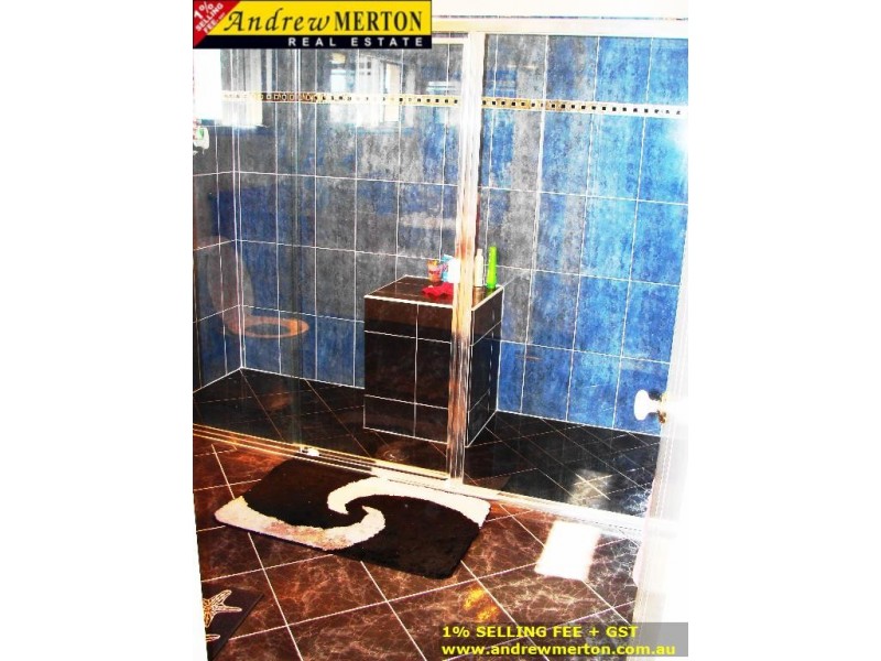 17 Scarlet Street, Quakers Hill NSW 2763