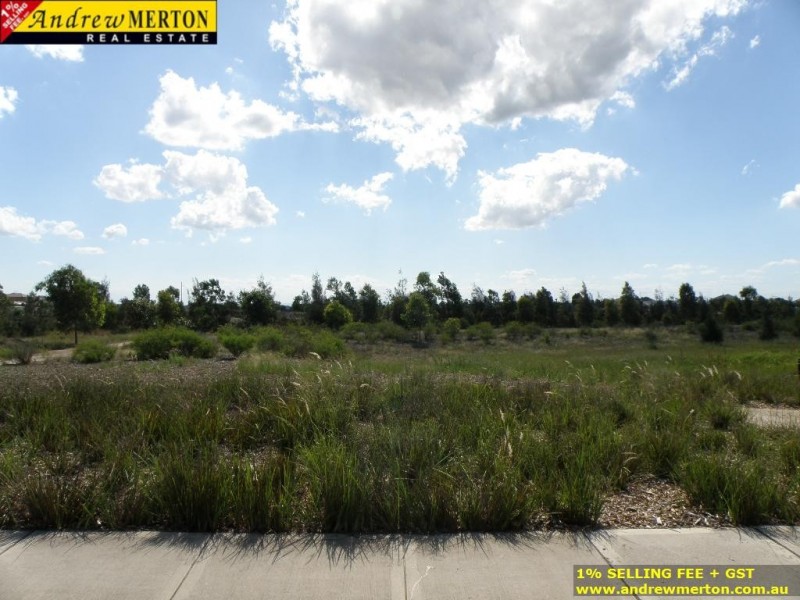 39 Mallard Dr, The Ponds NSW 2769