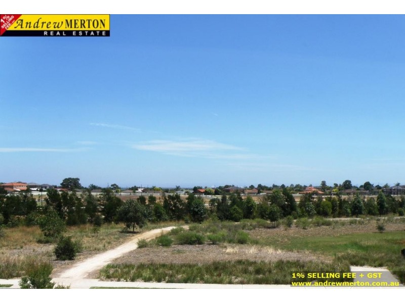 39 Mallard Dr, The Ponds NSW 2769