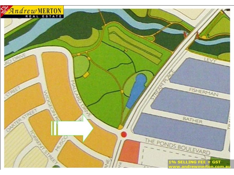 39 Mallard Dr, The Ponds NSW 2769