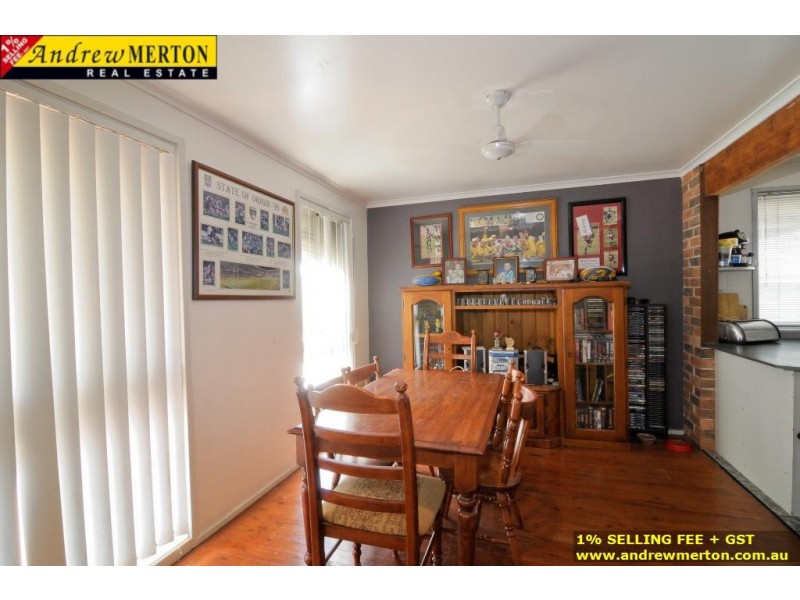 3 Alexandra Circuit, St Clair NSW 2330