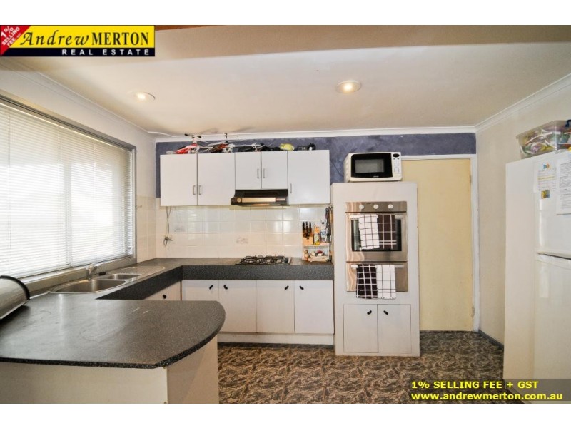 3 Alexandra Circuit, St Clair NSW 2330